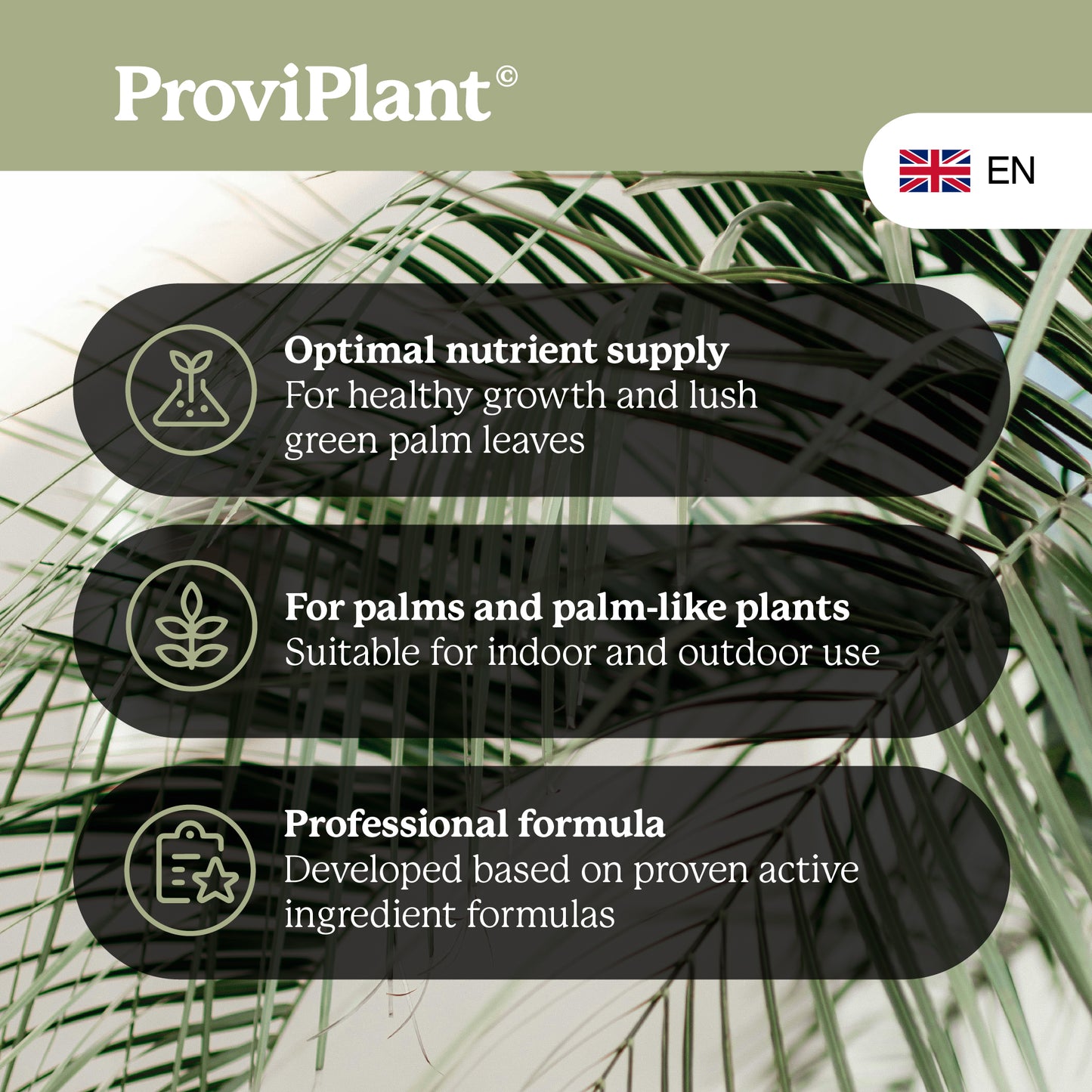 Palm fertilizer