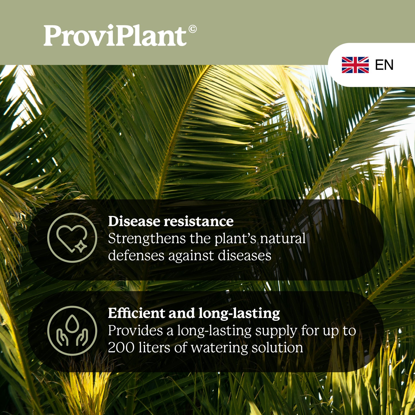 Palm fertilizer