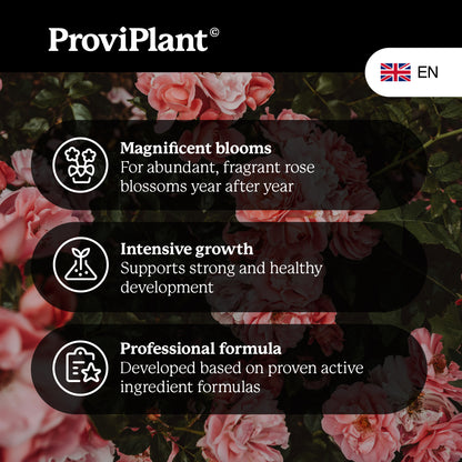 Rose fertilizer